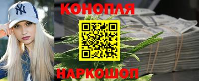 сатива Кандалакша