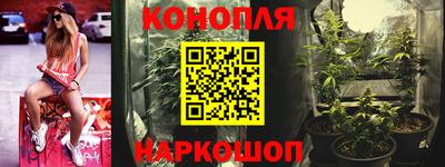 сатива Кандалакша