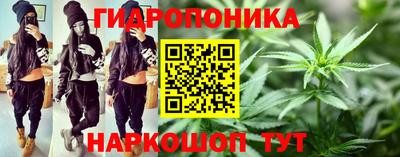 бошки Камышлов