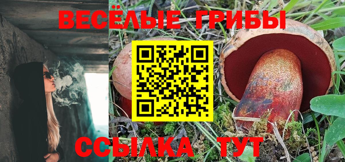 Галлюциногенные грибы MAGIC MUSHROOMS  Вход с VPN  Кандалакша 