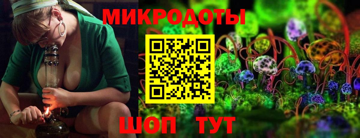 Псилоцибиновые грибы MAGIC MUSHROOMS Кандалакша